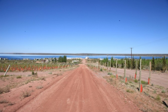 VENDO LOTE EN LA PENINSULA NEUQUEN