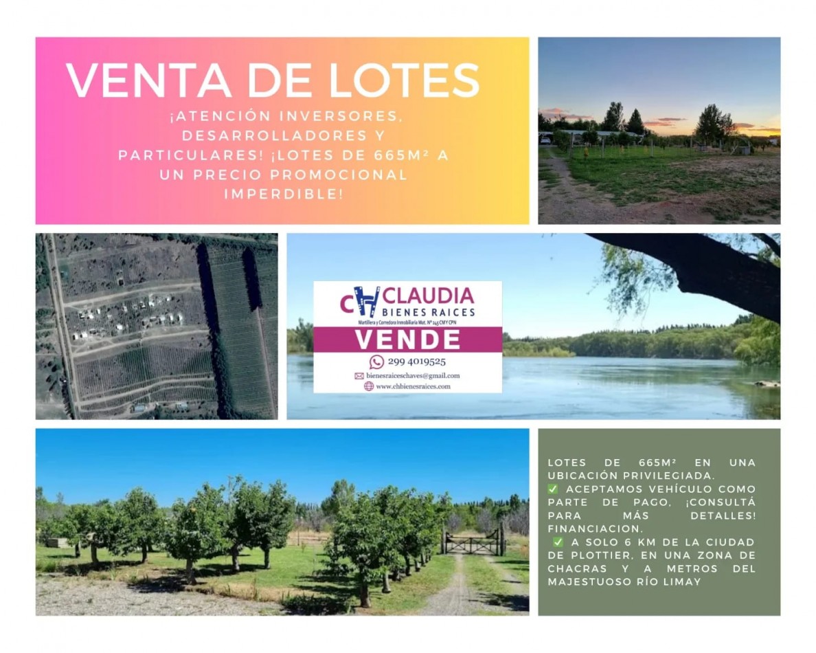 VENTA DE LOTES!!!! PLOTTIER