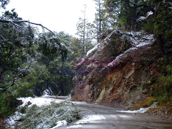 CH CLAUDIA Bienes Raices VENDE LOTE EN MELIQUINA - CORDILLERA 