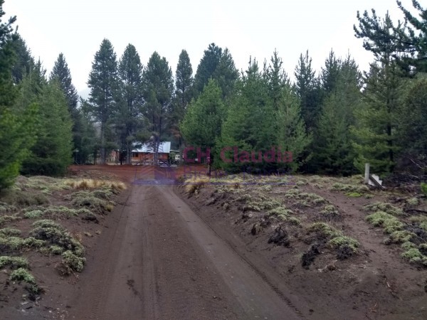 CH CLAUDIA Bienes Raices VENDE LOTE EN MELIQUINA - CORDILLERA 